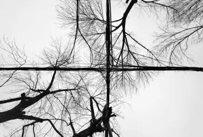 Billion Casino App Mobile